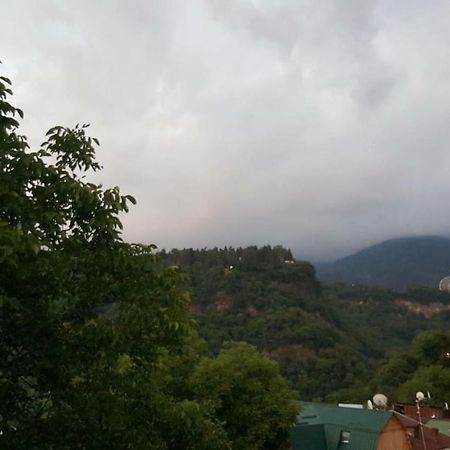 Hillside Orbeliani Residence Borjomi Exterior photo